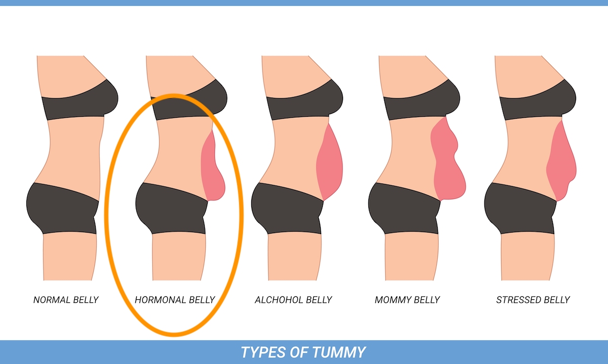 How To Get Rid Of Menopausal Belly Fat (2023) Supplement Review