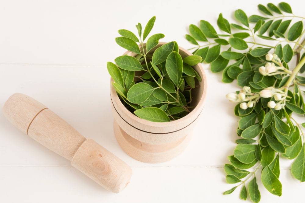 moringa leaf