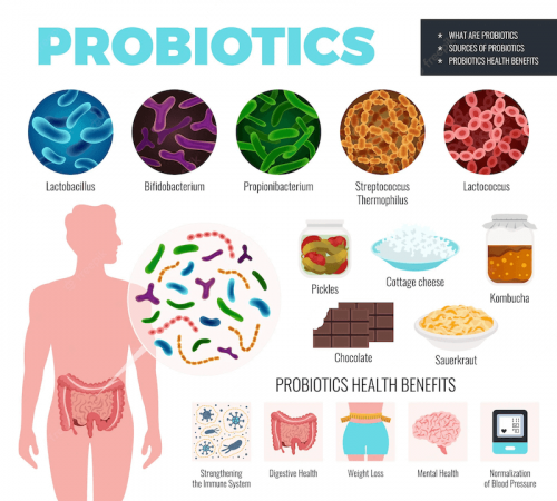 Probiotics Helps Bloating